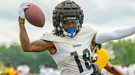 Steelers 'counting on' Johnson to be ready for Sunday taken on the South Side (Steelers)